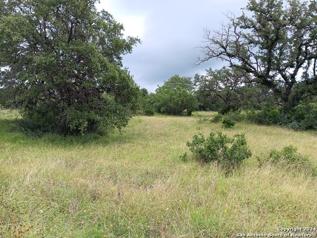 Image 4 of 10 For Lot 92 Summit Ridge Trail