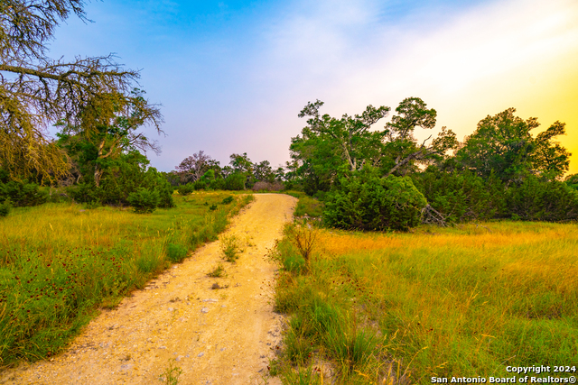 Listing photo id 12 for 105 Bella Springs Rd