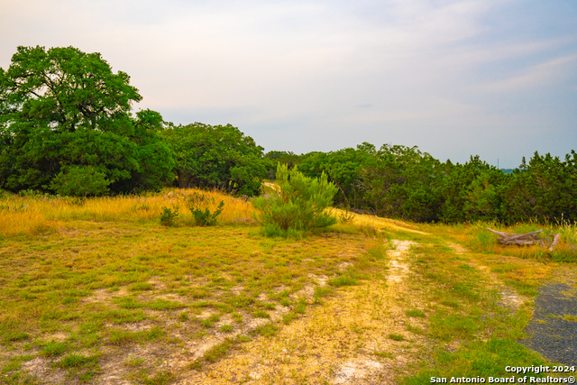 Listing photo id 20 for 105 Bella Springs Rd