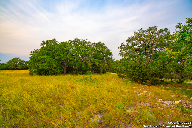 Listing photo id 22 for 105 Bella Springs Rd