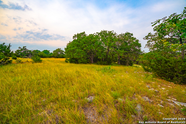 Listing photo id 23 for 105 Bella Springs Rd