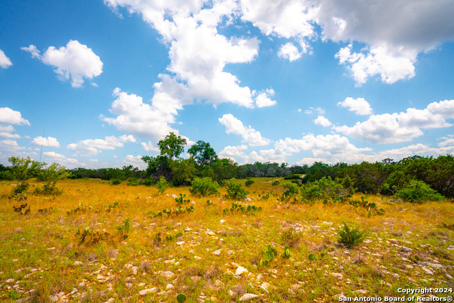 Listing photo id 24 for 105 Bella Springs Rd