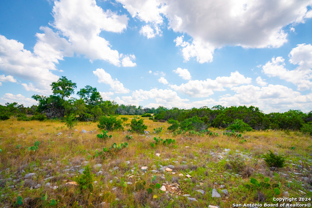 Listing photo id 25 for 105 Bella Springs Rd