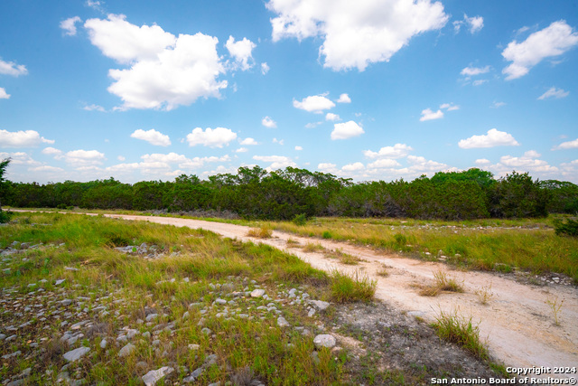 Listing photo id 26 for 105 Bella Springs Rd