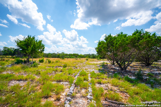 Listing photo id 27 for 105 Bella Springs Rd