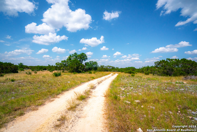 Listing photo id 28 for 105 Bella Springs Rd