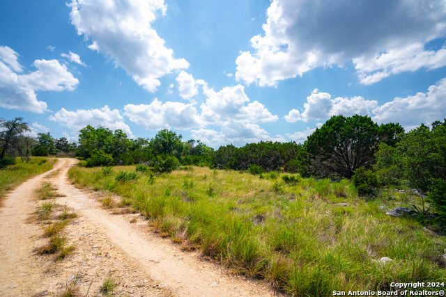 Listing photo id 29 for 105 Bella Springs Rd