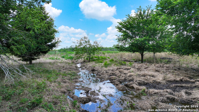 Image 16 of 33 For 2861 County Road 436