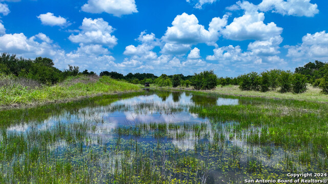 Image 17 of 33 For 2861 County Road 436