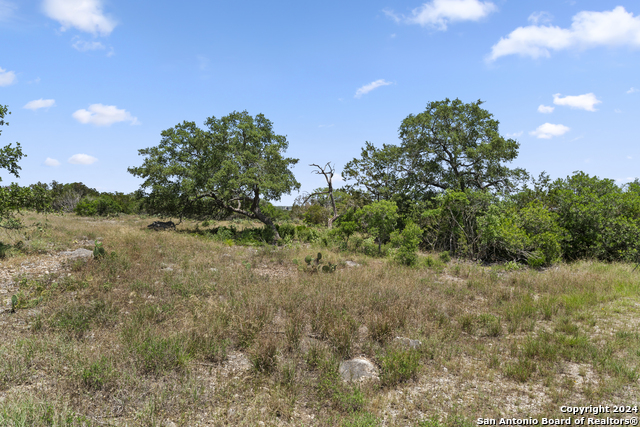 Details for Lot 51 County Road 2804, Mico, TX 78056