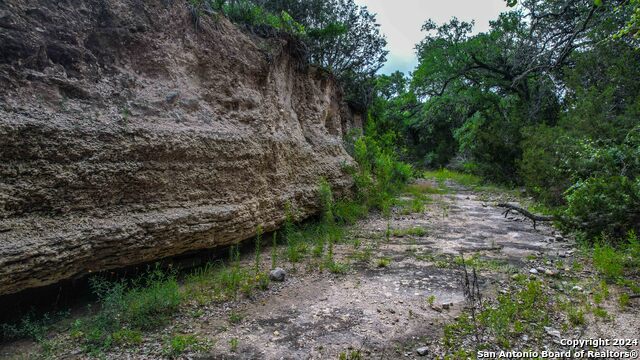 Image 11 of 33 For 0 Hwy 290  