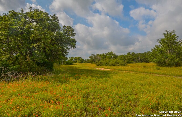 Image 15 of 33 For 0 Hwy 290  