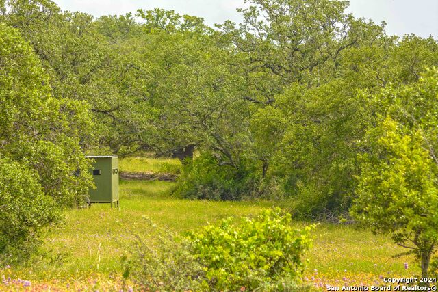 Image 18 of 33 For 0 Hwy 290  