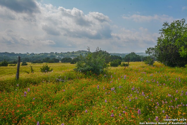 Image 29 of 33 For 0 Hwy 290  