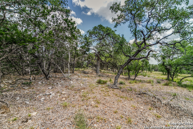 Image 8 of 12 For 1040 Adyson Ridge