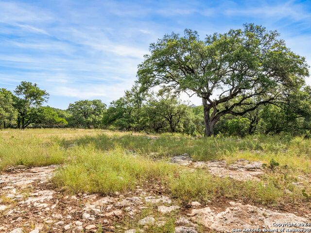 Details for Lot 11a Swede Springs, Boerne, TX 78006