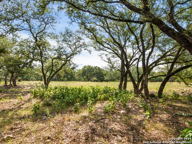 Image 8 of 26 For Lot 11a Swede Springs