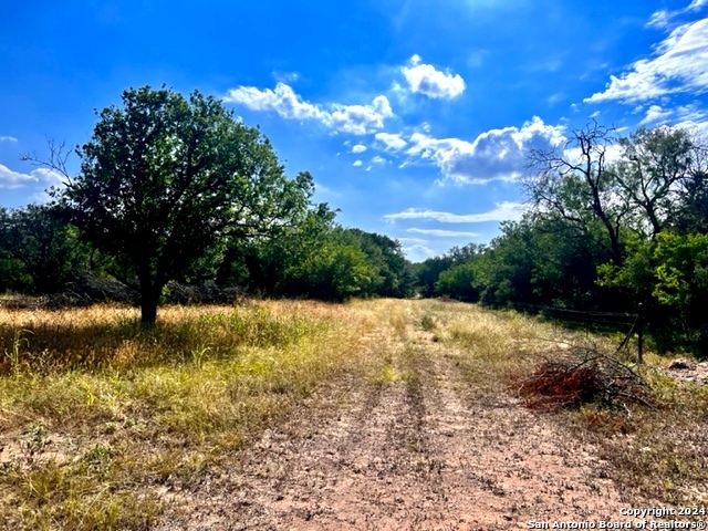 Details for 291 County Road 4802, Castroville, TX 78009