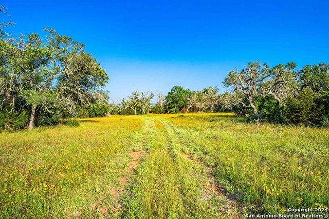 Image 80 of 89 For 38 Seewald Rd