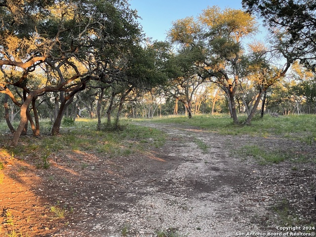 Image 9 of 14 For 0000 Ranch Road 337