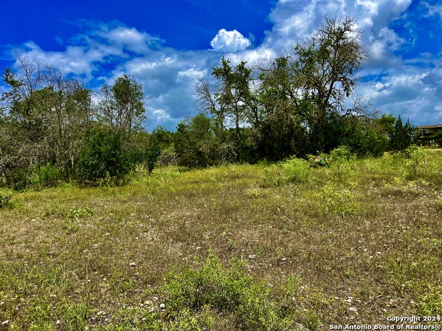 Image 8 of 16 For Lot 11 Enchanted River Dr.