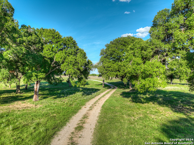 Image 9 of 66 For 2955 Francis Harris