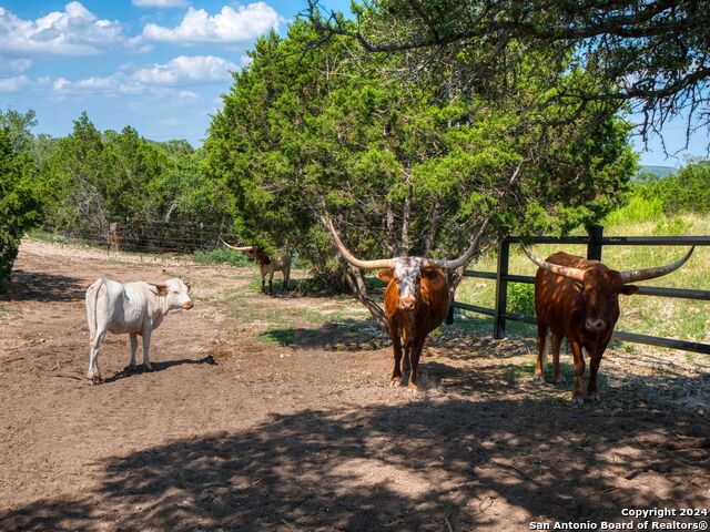 Listing photo id 43 for 298 Table Rock