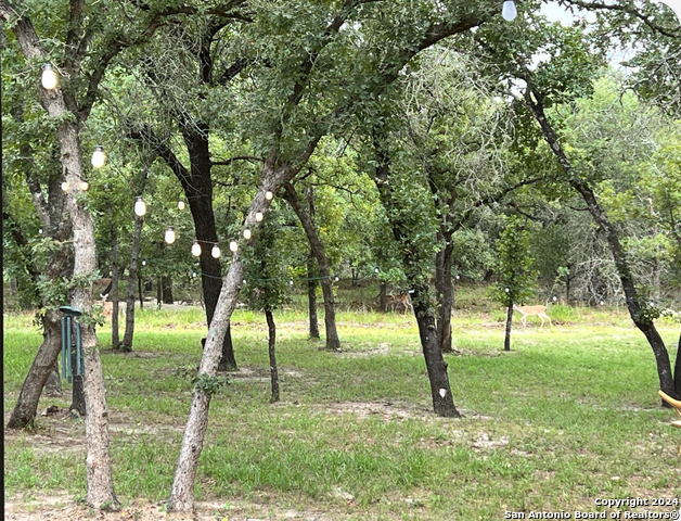 Image 61 of 64 For 270 Cibolo Way