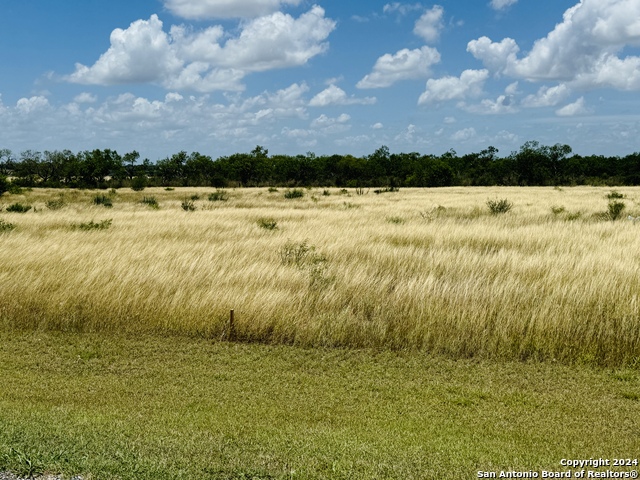 Details for 157 Gentle Breeze, La Vernia, TX 78114