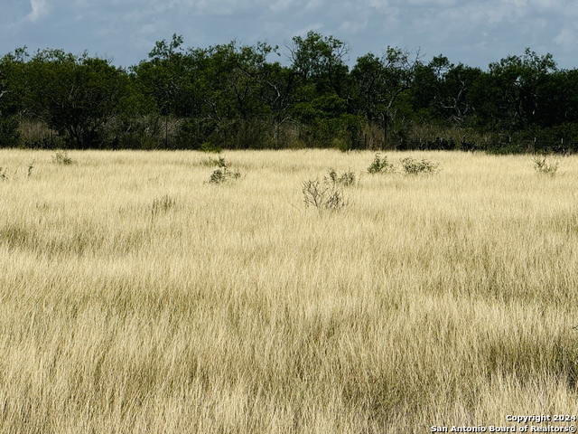 Image 10 of 12 For 157 Gentle Breeze