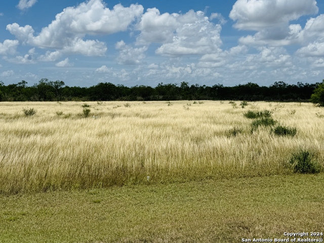 Image 7 of 12 For 157 Gentle Breeze