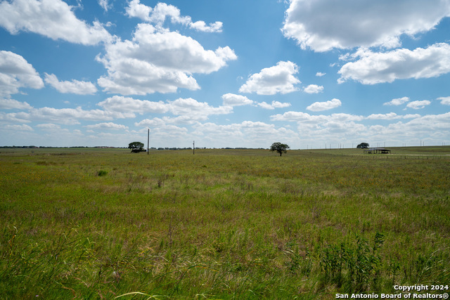 Image 11 of 13 For 349 County Road 319