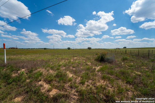 Image 12 of 13 For 349 County Road 319