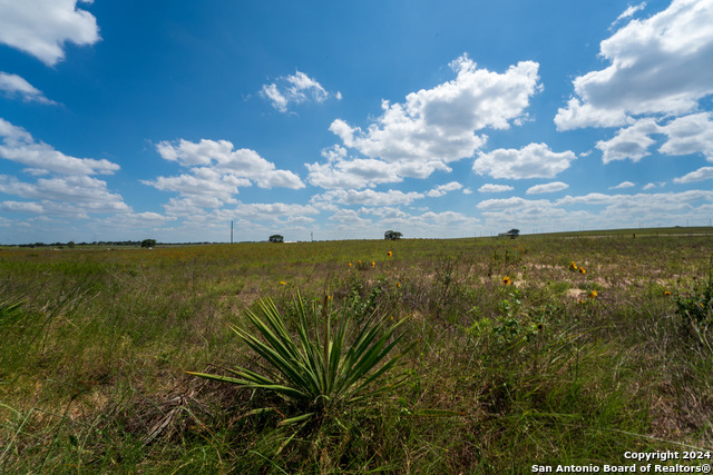 Image 13 of 13 For 349 County Road 319