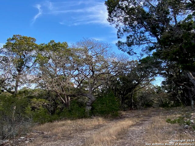 Image 6 of 9 For 638 Upper Loma Verde