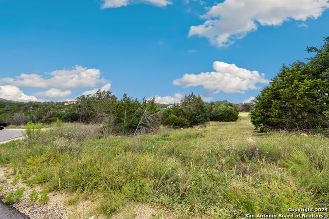 Details for 0 Tbd Lot 2310, New Braunfels, TX 78132