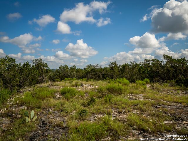 Image 14 of 33 For Lot 12 Wainright Springs