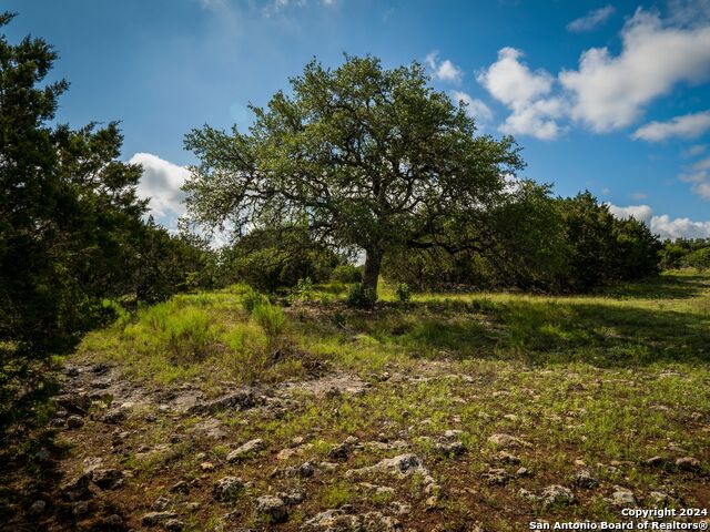 Image 19 of 33 For Lot 12 Wainright Springs