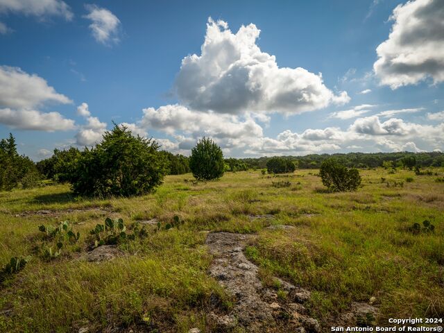 Image 5 of 33 For Lot 12 Wainright Springs