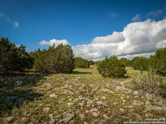 Image 8 of 33 For Lot 12 Wainright Springs