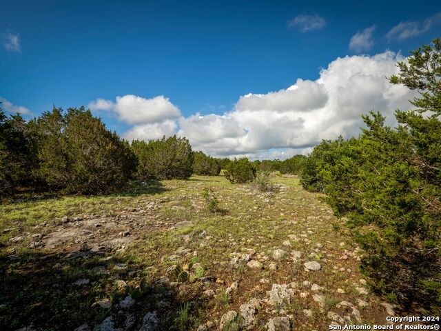 Image 9 of 33 For Lot 12 Wainright Springs