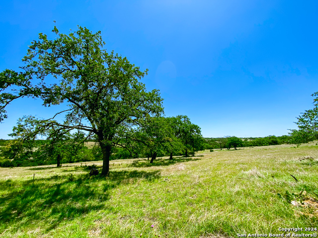 Image 10 of 13 For Lot 123 Loma Vista Ranch