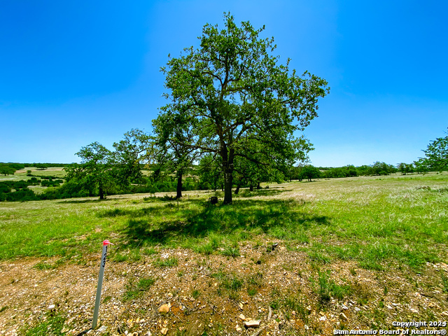 Image 2 of 13 For Lot 123 Loma Vista Ranch