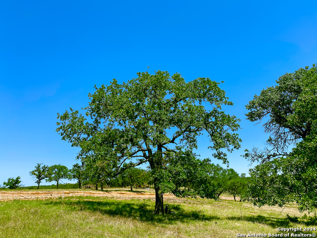 Image 6 of 13 For Lot 123 Loma Vista Ranch