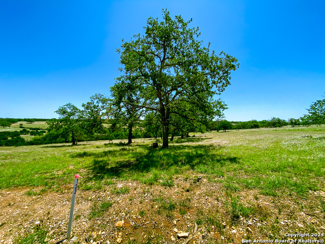 Image 9 of 13 For Lot 123 Loma Vista Ranch