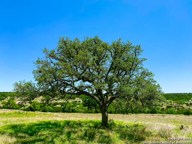 Image 2 of 13 For Lot 124 Loma Vista Ranch