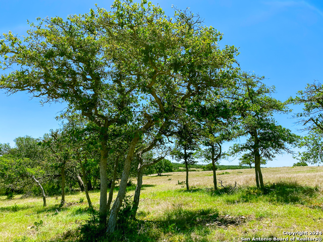 Image 3 of 13 For Lot 124 Loma Vista Ranch