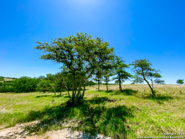 Image 4 of 13 For Lot 124 Loma Vista Ranch