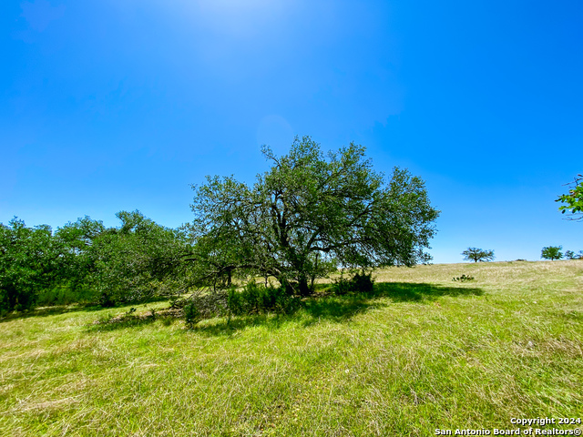 Image 5 of 13 For Lot 124 Loma Vista Ranch