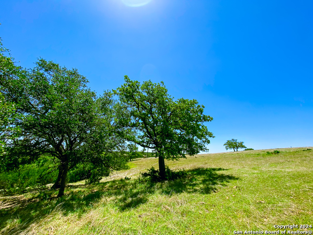 Image 7 of 13 For Lot 124 Loma Vista Ranch